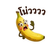 878504220