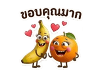 878504239