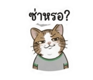 878534503