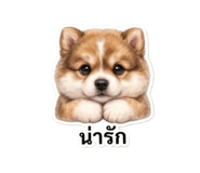 878534788