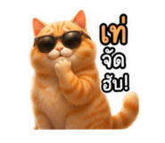 878535376