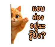 878535379