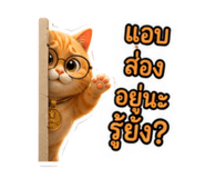 878535411