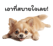 878537198