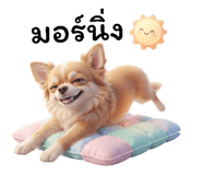 878537209