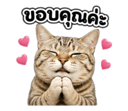 878546122
