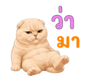878548249
