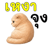 878548250