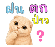 878548253