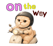 878548256