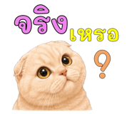 878548272