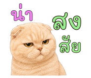 878548273