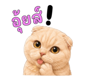 878548275