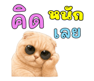 878548277