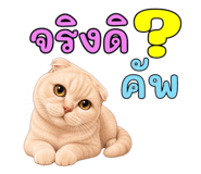 878548279