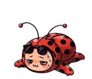 878553062