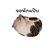 878553106