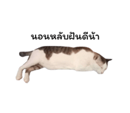 878553108