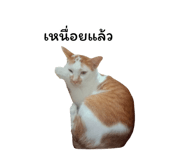 878553109