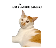 878553110