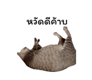 878553125