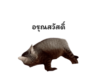 878553126
