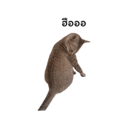 878553128