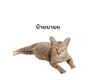 878553130