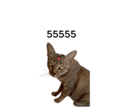 878553131