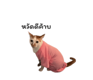 878553133