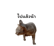 878553134