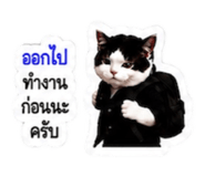 878553183