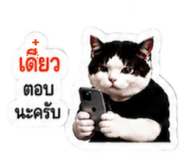 878553192