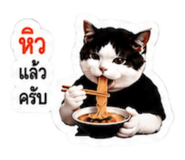 878553197