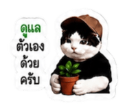 878553200