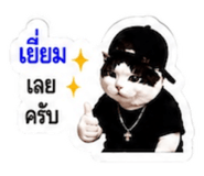 878553212