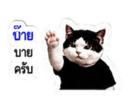 878553215