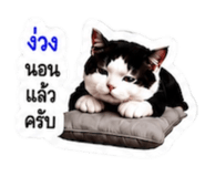 878553216