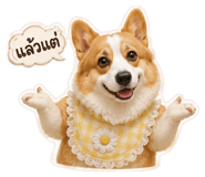 878556146