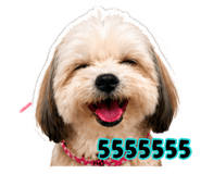 878560421