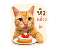 878563063
