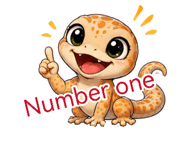 878586003
