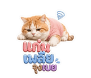 878590695