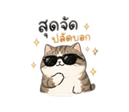 878590817