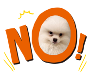 878593788
