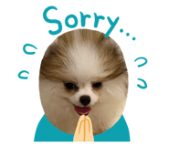 878593790