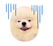 878593791