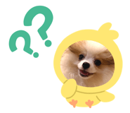 878593794