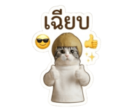 878596932