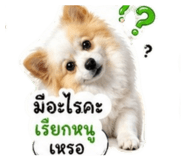 878599761